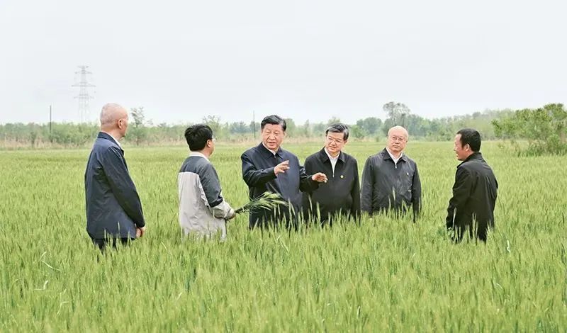 crown皇冠体育平台
